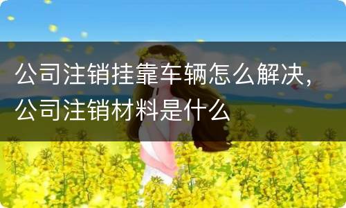 公司注销挂靠车辆怎么解决，公司注销材料是什么
