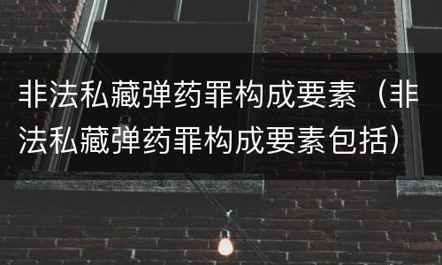 非法私藏弹药罪构成要素（非法私藏弹药罪构成要素包括）