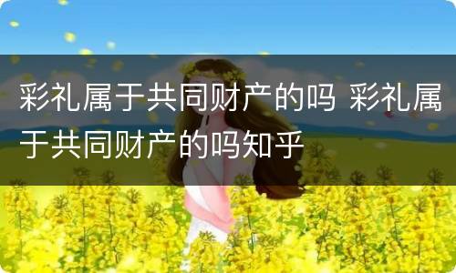 彩礼属于共同财产的吗 彩礼属于共同财产的吗知乎
