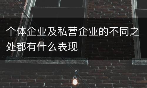 个体企业及私营企业的不同之处都有什么表现