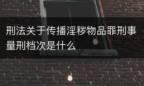 刑法关于传播淫秽物品罪刑事量刑档次是什么
