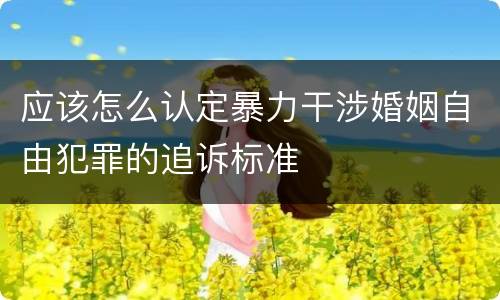 应该怎么认定暴力干涉婚姻自由犯罪的追诉标准