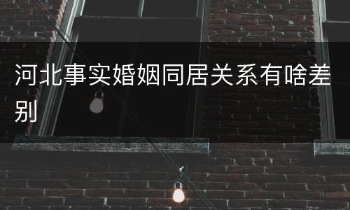 河北事实婚姻同居关系有啥差别