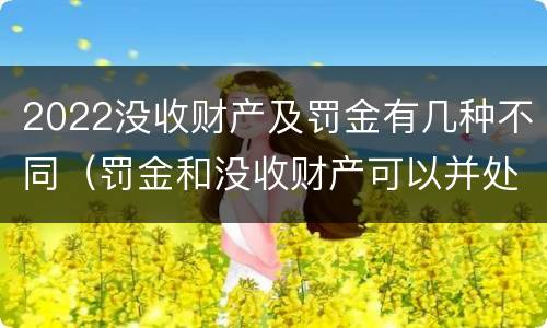 2022没收财产及罚金有几种不同（罚金和没收财产可以并处吗）
