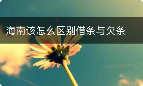 海南该怎么区别借条与欠条