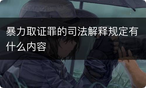 暴力取证罪的司法解释规定有什么内容