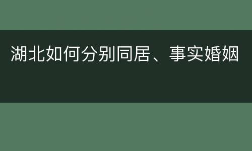 湖北如何分别同居、事实婚姻
