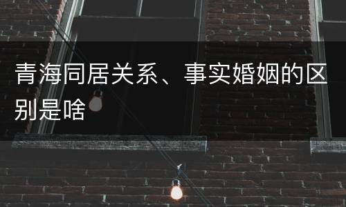 青海同居关系、事实婚姻的区别是啥