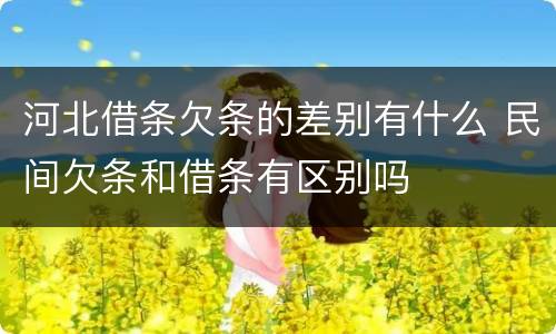 河北借条欠条的差别有什么 民间欠条和借条有区别吗