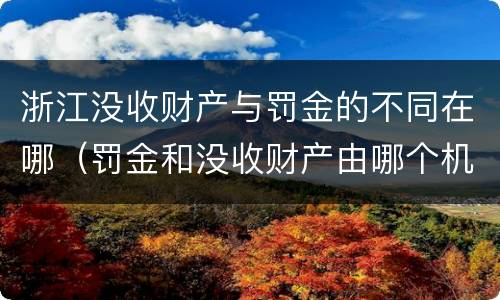 浙江没收财产与罚金的不同在哪（罚金和没收财产由哪个机关执行）