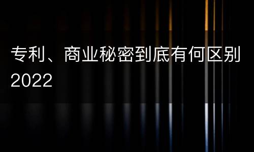 专利、商业秘密到底有何区别2022