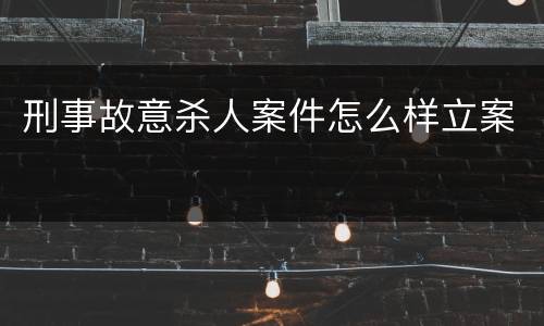 刑事故意杀人案件怎么样立案