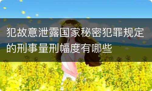 犯故意泄露国家秘密犯罪规定的刑事量刑幅度有哪些