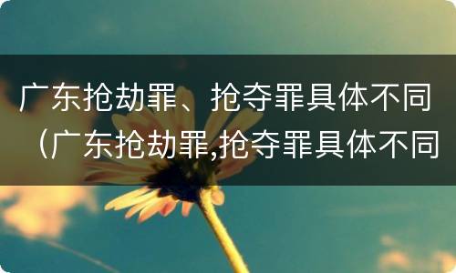 广东抢劫罪、抢夺罪具体不同（广东抢劫罪,抢夺罪具体不同判刑）
