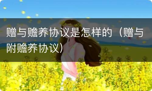 赠与赡养协议是怎样的（赠与附赡养协议）