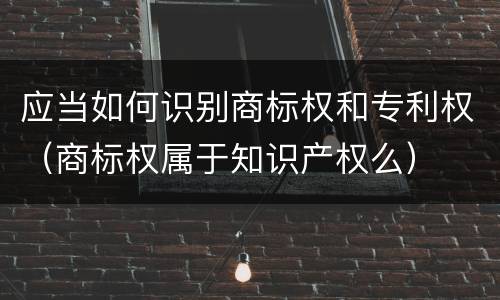 应当如何识别商标权和专利权（商标权属于知识产权么）