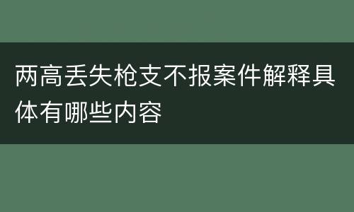 两高丢失枪支不报案件解释具体有哪些内容