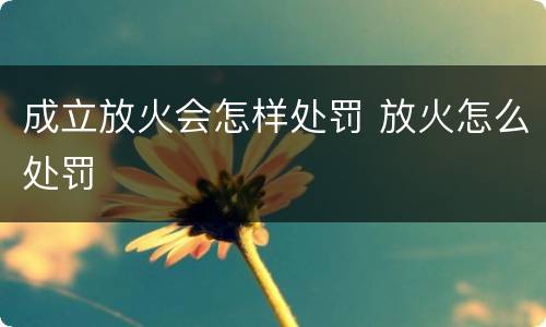 成立放火会怎样处罚 放火怎么处罚