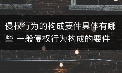 侵权行为的构成要件具体有哪些 一般侵权行为构成的要件