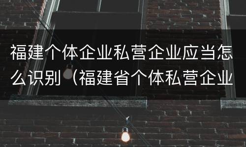 福建个体企业私营企业应当怎么识别（福建省个体私营企业协会）