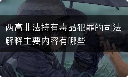 两高非法持有毒品犯罪的司法解释主要内容有哪些