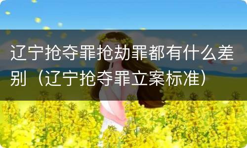辽宁抢夺罪抢劫罪都有什么差别（辽宁抢夺罪立案标准）