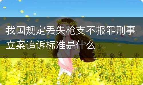 我国规定丢失枪支不报罪刑事立案追诉标准是什么