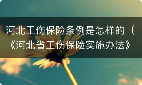 河北工伤保险条例是怎样的（《河北省工伤保险实施办法》）