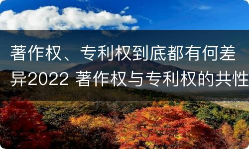 著作权、专利权到底都有何差异2022 著作权与专利权的共性有