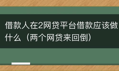 借款人在2网贷平台借款应该做什么（两个网贷来回倒）