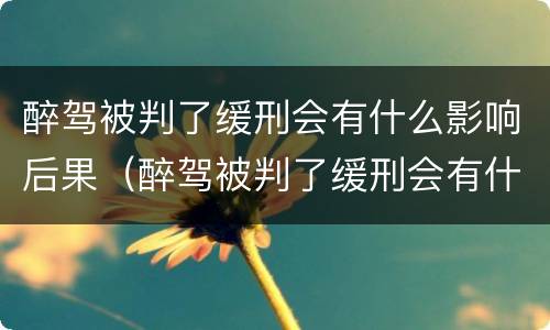 醉驾被判了缓刑会有什么影响后果（醉驾被判了缓刑会有什么影响后果吗）