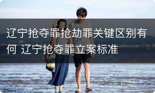 辽宁抢夺罪抢劫罪关键区别有何 辽宁抢夺罪立案标准