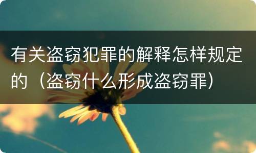 有关盗窃犯罪的解释怎样规定的（盗窃什么形成盗窃罪）