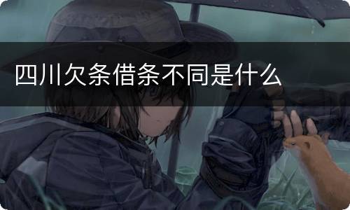 四川欠条借条不同是什么