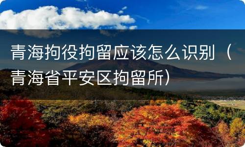 青海拘役拘留应该怎么识别（青海省平安区拘留所）