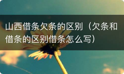 山西借条欠条的区别（欠条和借条的区别借条怎么写）