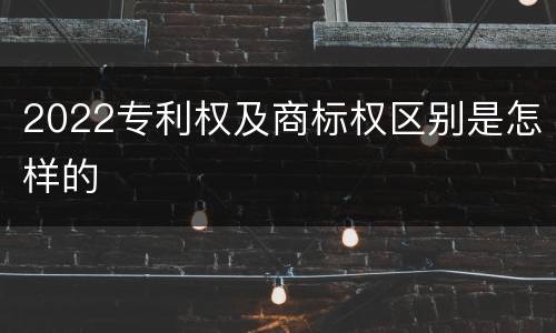 2022专利权及商标权区别是怎样的