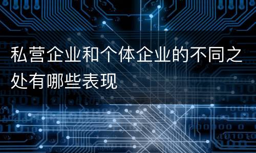 私营企业和个体企业的不同之处有哪些表现