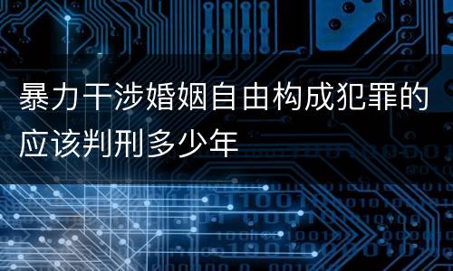 暴力干涉婚姻自由构成犯罪的应该判刑多少年