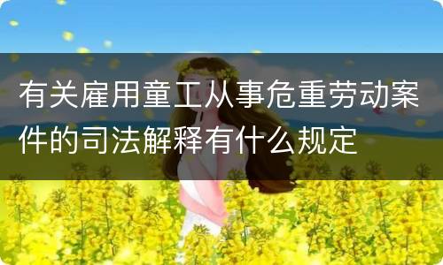 有关雇用童工从事危重劳动案件的司法解释有什么规定