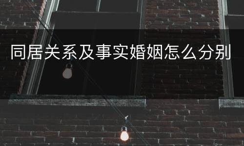 同居关系及事实婚姻怎么分别