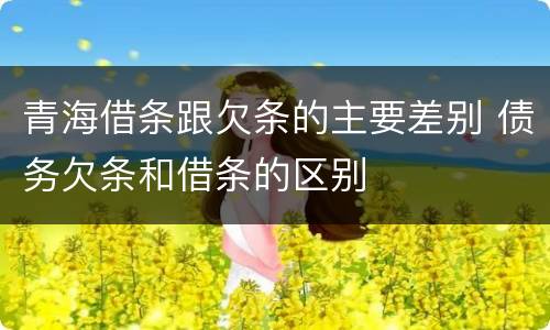 青海借条跟欠条的主要差别 债务欠条和借条的区别