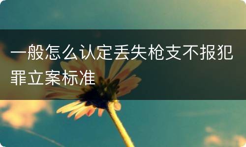 一般怎么认定丢失枪支不报犯罪立案标准