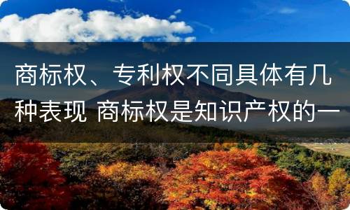商标权、专利权不同具体有几种表现 商标权是知识产权的一种吗