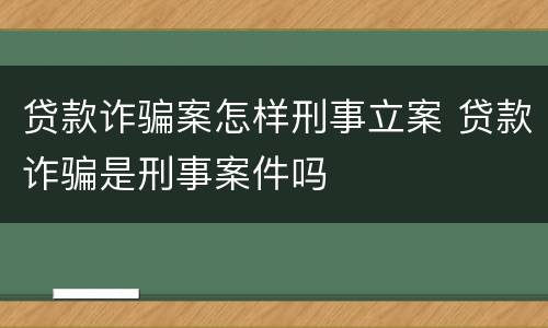 贷款诈骗案怎样刑事立案 贷款诈骗是刑事案件吗