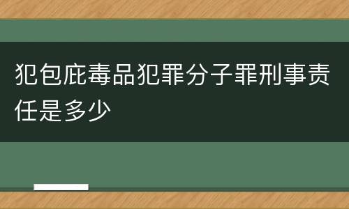 犯包庇毒品犯罪分子罪刑事责任是多少