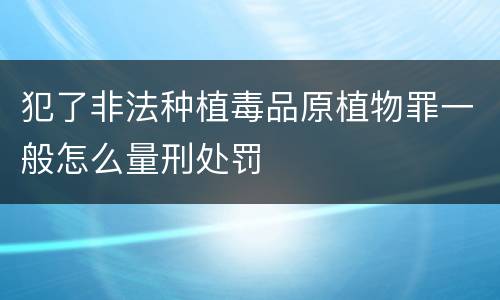 犯了非法种植毒品原植物罪一般怎么量刑处罚