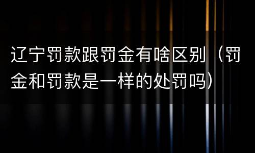 辽宁罚款跟罚金有啥区别（罚金和罚款是一样的处罚吗）