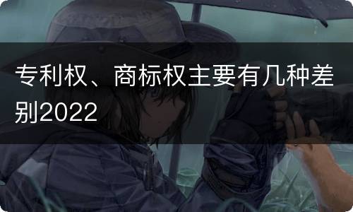 专利权、商标权主要有几种差别2022