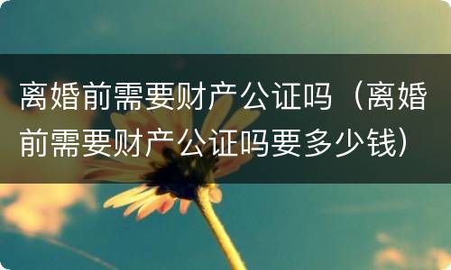 离婚前需要财产公证吗（离婚前需要财产公证吗要多少钱）
